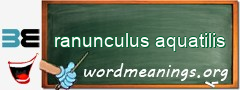 WordMeaning blackboard for ranunculus aquatilis